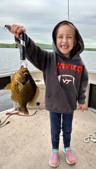 Natalie 11 inch Pumpkinseed